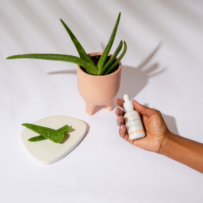 Oh, aloe there! Why is aloe vera good for your skin?