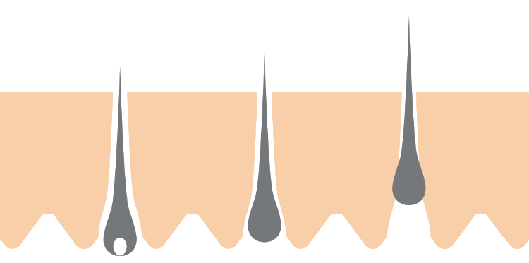 Lash growth illustration image